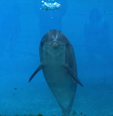 251105_marineland2_original