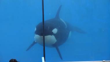 251105_marineland3_original