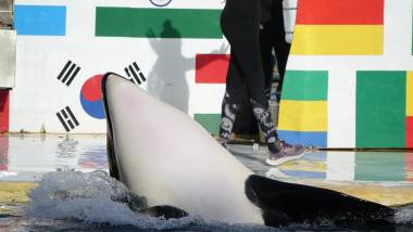 251120_keijo1_original