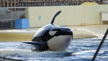 251120_keijo2_original