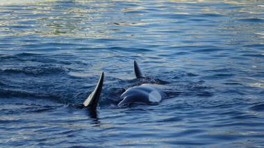 251120_keijo4_original