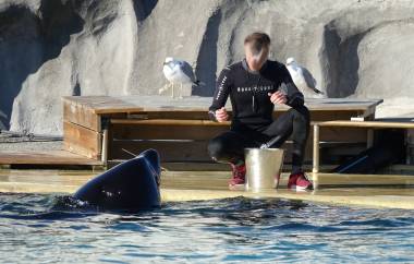 251130_marineland1_original