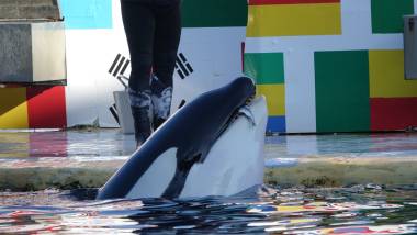 251130_marineland2_original
