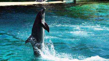 251130_marineland3_original