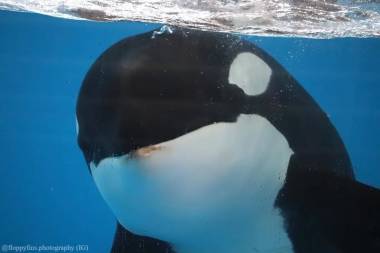 251206_kamea1_original