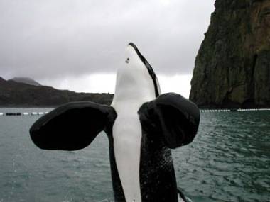 251212_keiko3_original