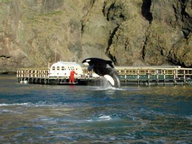 251212_keiko4_original