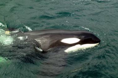 251212_keiko5_original