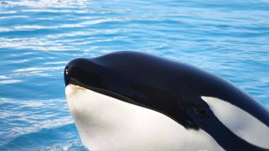 251212_marineland1_original