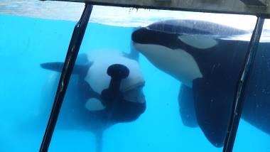 251212_marineland2_original