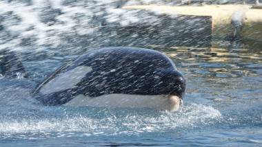 251212_marineland3_original