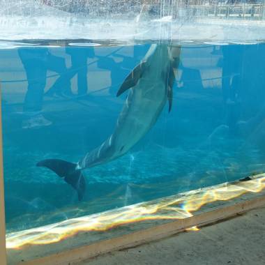 251212_marineland4_original