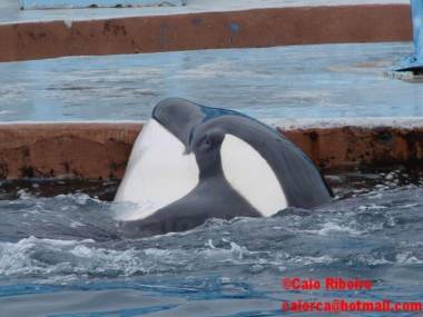 251214_kshamenk1_original