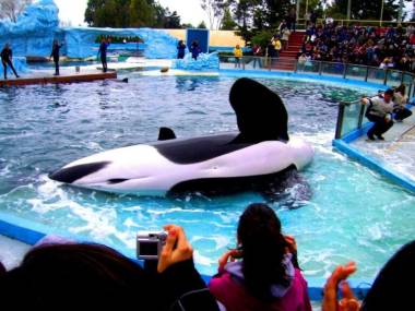 251214_kshamenk2_original