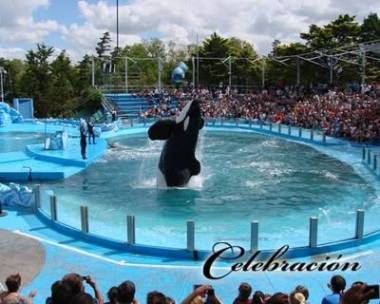 251214_kshamenk3_original