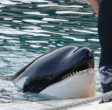 251216_marineland2_original