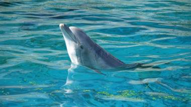 251216_marineland3_original