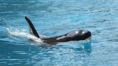 251216_marineland4_original