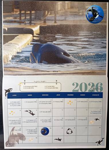 251219_calendrier1_original