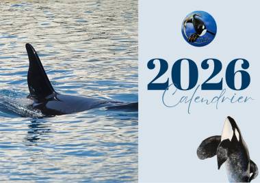 251219_calendrier2_original