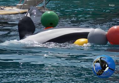 251219_calendrier3_original