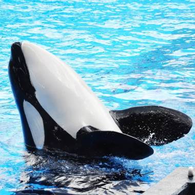 251221_katina1_original