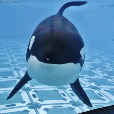 251221_katina2_original