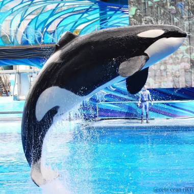 251221_katina3_original