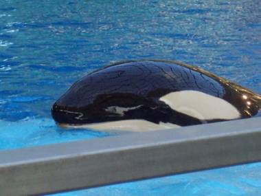 251221_unna1_original