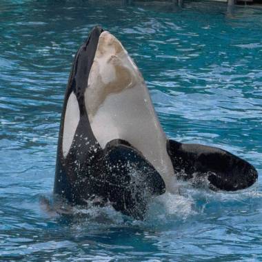 251221_unna3_original