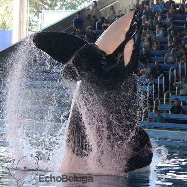 251224_kyuquot1_original