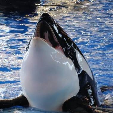 251224_kyuquot2_original