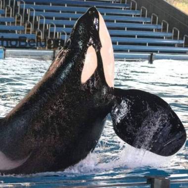 251224_kyuquot3_original