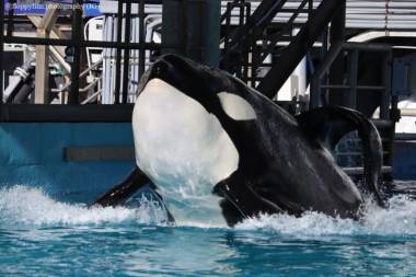 251224_kyuquot4_original