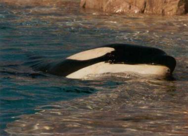 251231_nyar3_original