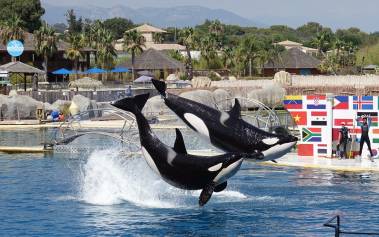 260302_delphinarium2_original