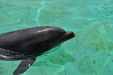 260304_beauvalpairidaiza2_3_original