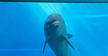 260306_luna1_original