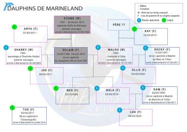 260308_dauphins1_original