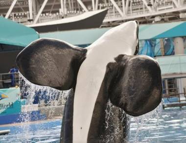 260313_magie1_original