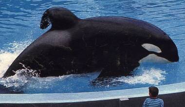 260313_magie2_original