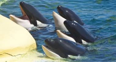 260313_magie3_original