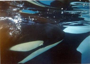 260402_nyar1_original