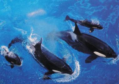 260402_nyar3_original