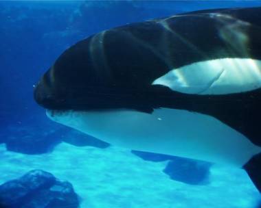 260405_splash2_original