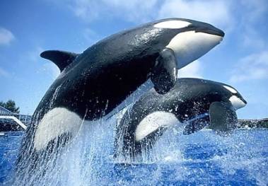 260405_splash3_original