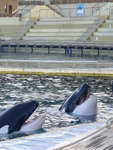 260409_auditionlefevre1_original