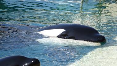 260409_auditionlefevre2_original