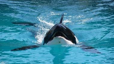 260409_auditionlefevre3_original