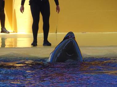 260511_loroparque1_original